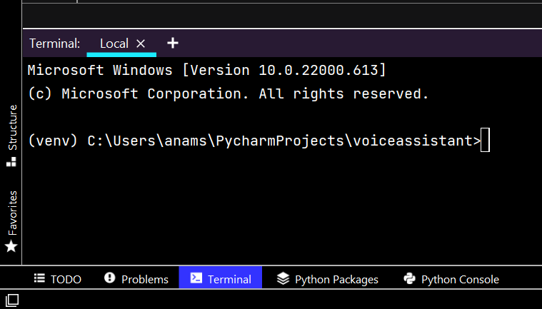 Pycharm Terminal