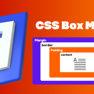 Read more about the article CSS Box Model