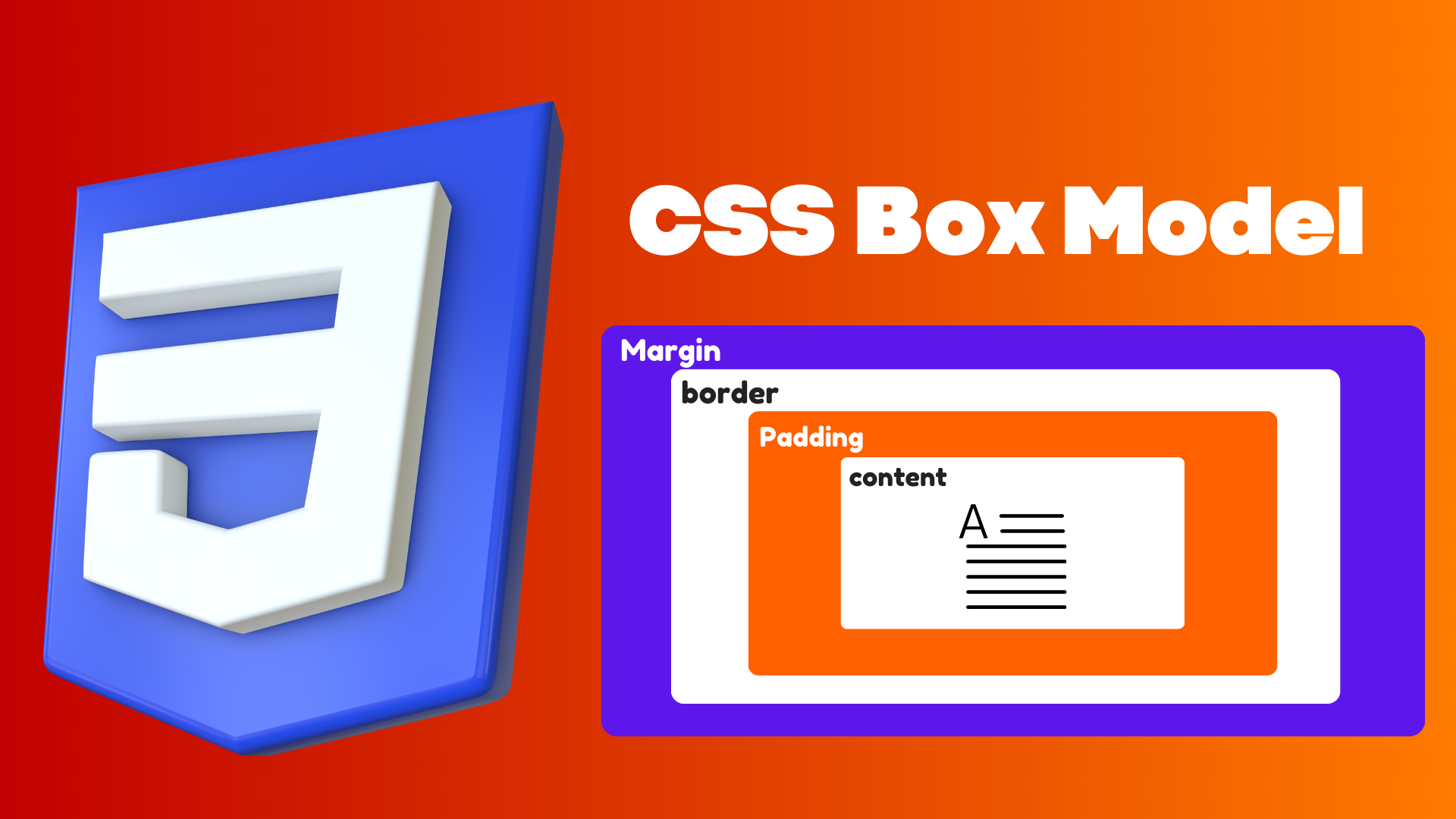 Read more about the article CSS Box Model